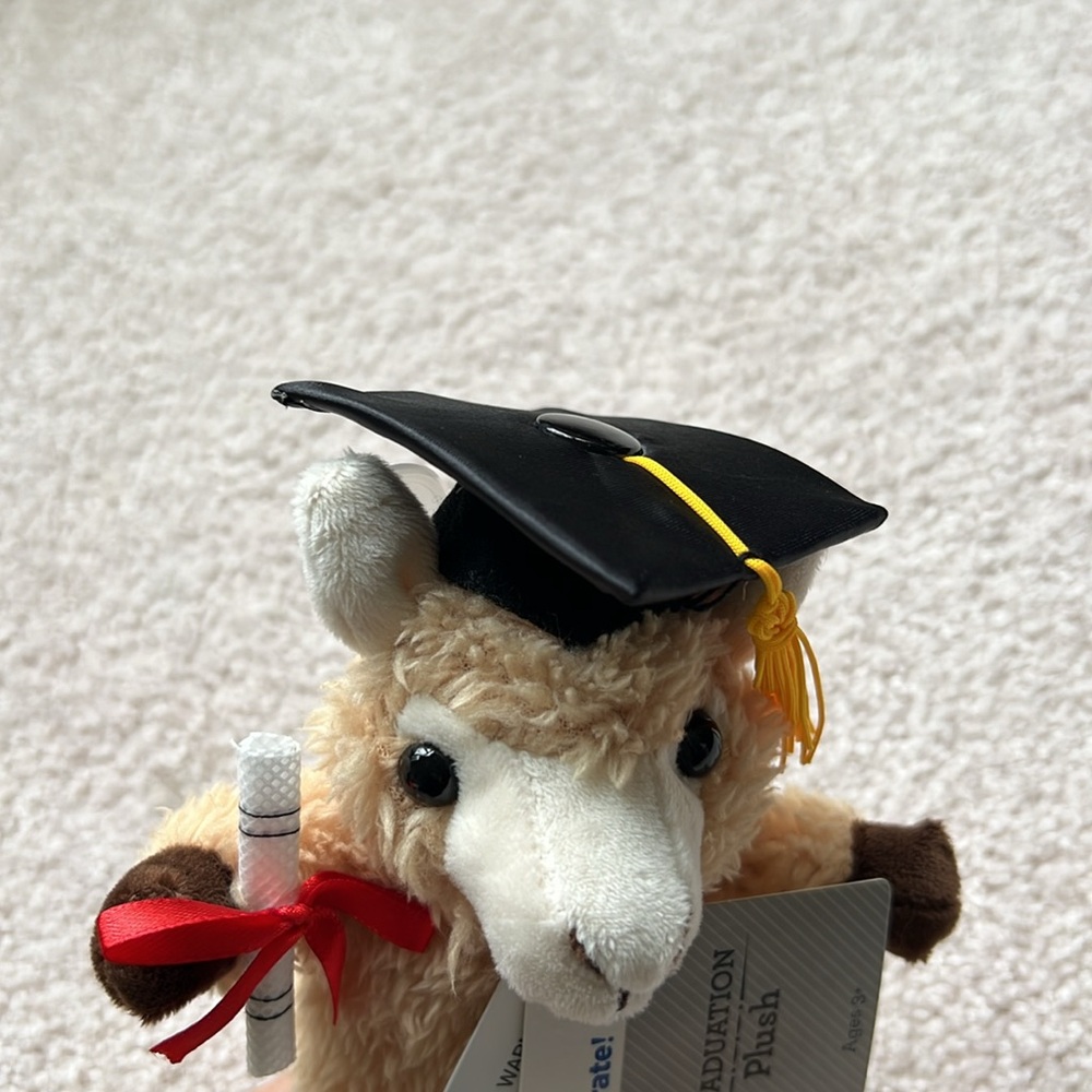 Graduation Plush - Picture 3 of 5